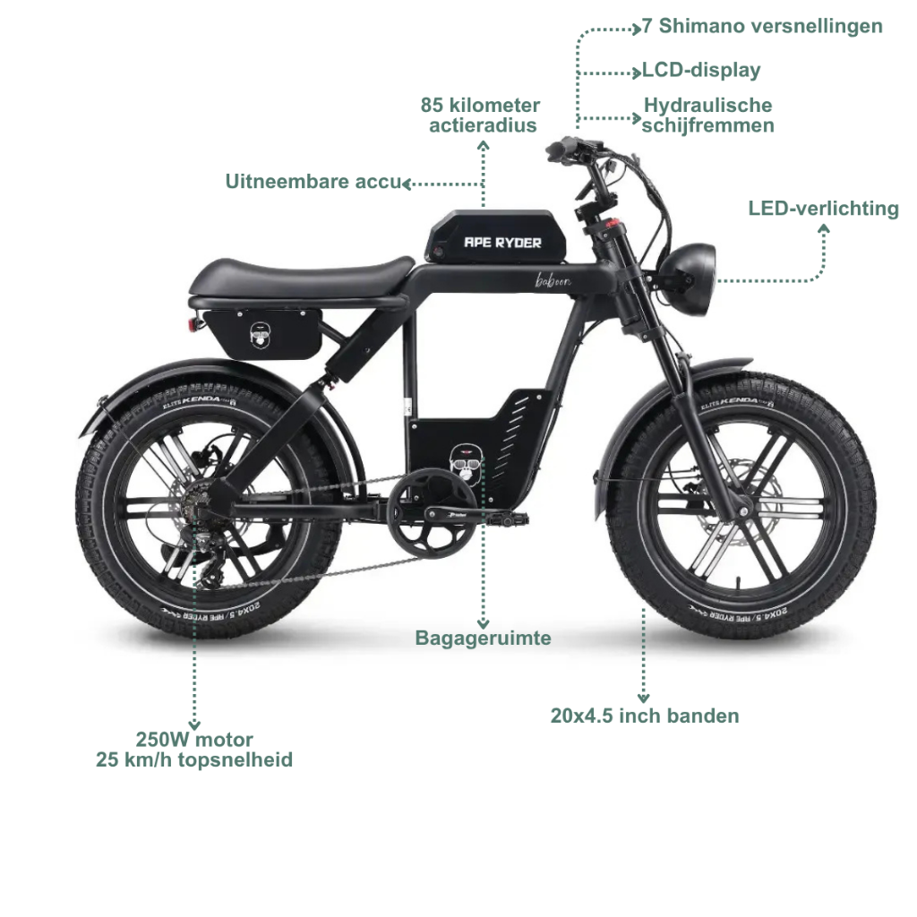 Ape Ryder Baboon - Schwarz