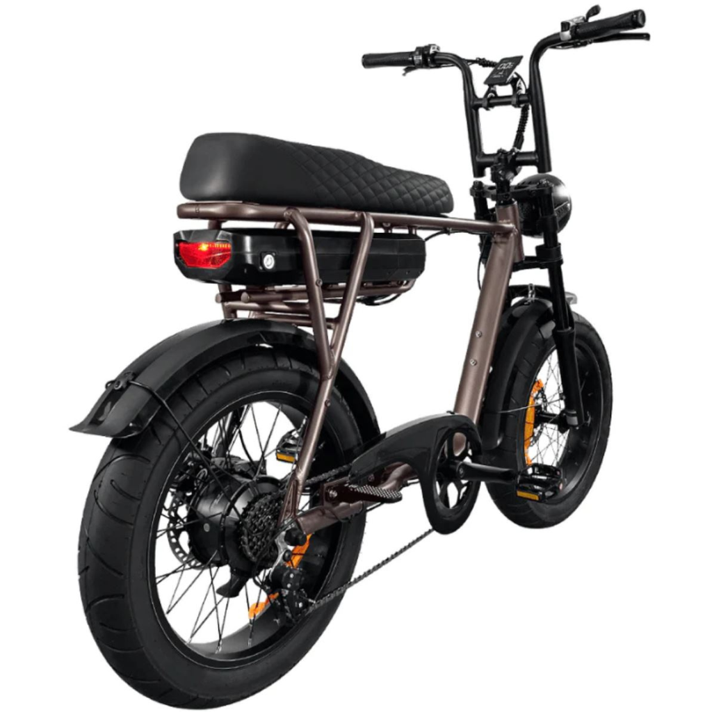 EB2 Fatbike - Kaffee