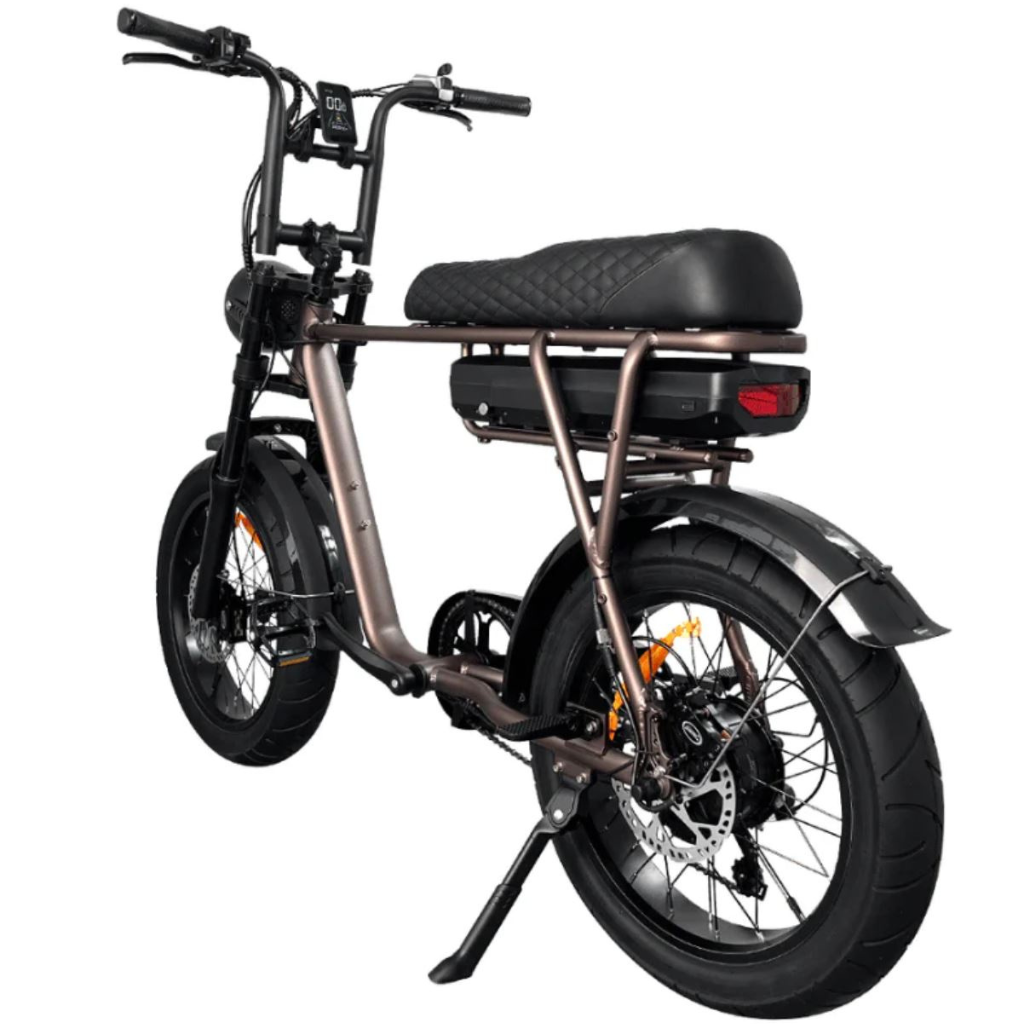 EB2 Fatbike - Kaffee