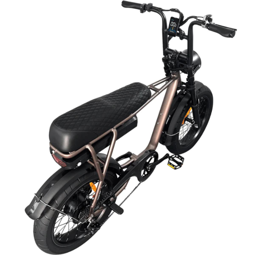 EB2 Fatbike - Kaffee