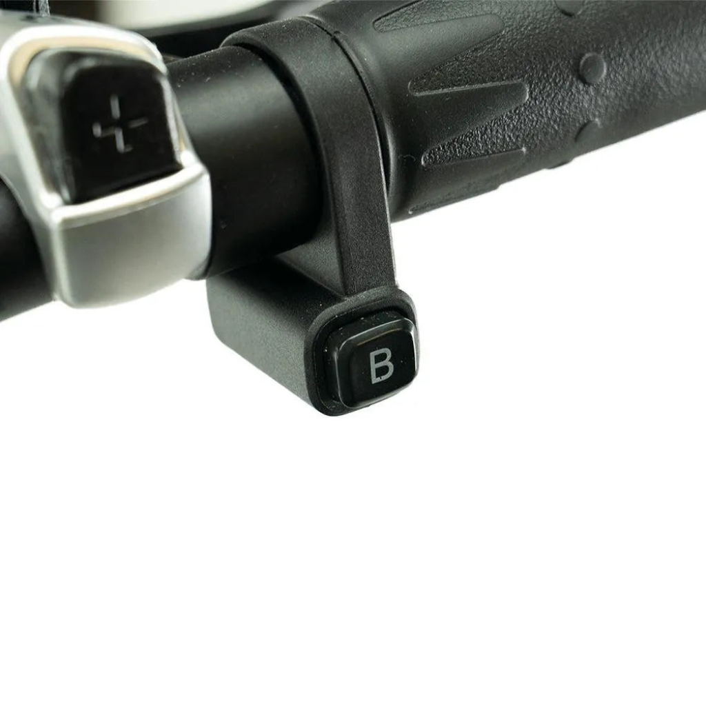 ENGWE L20 Boost - Schwarz (inkl. kostenlosem Frontkorb)