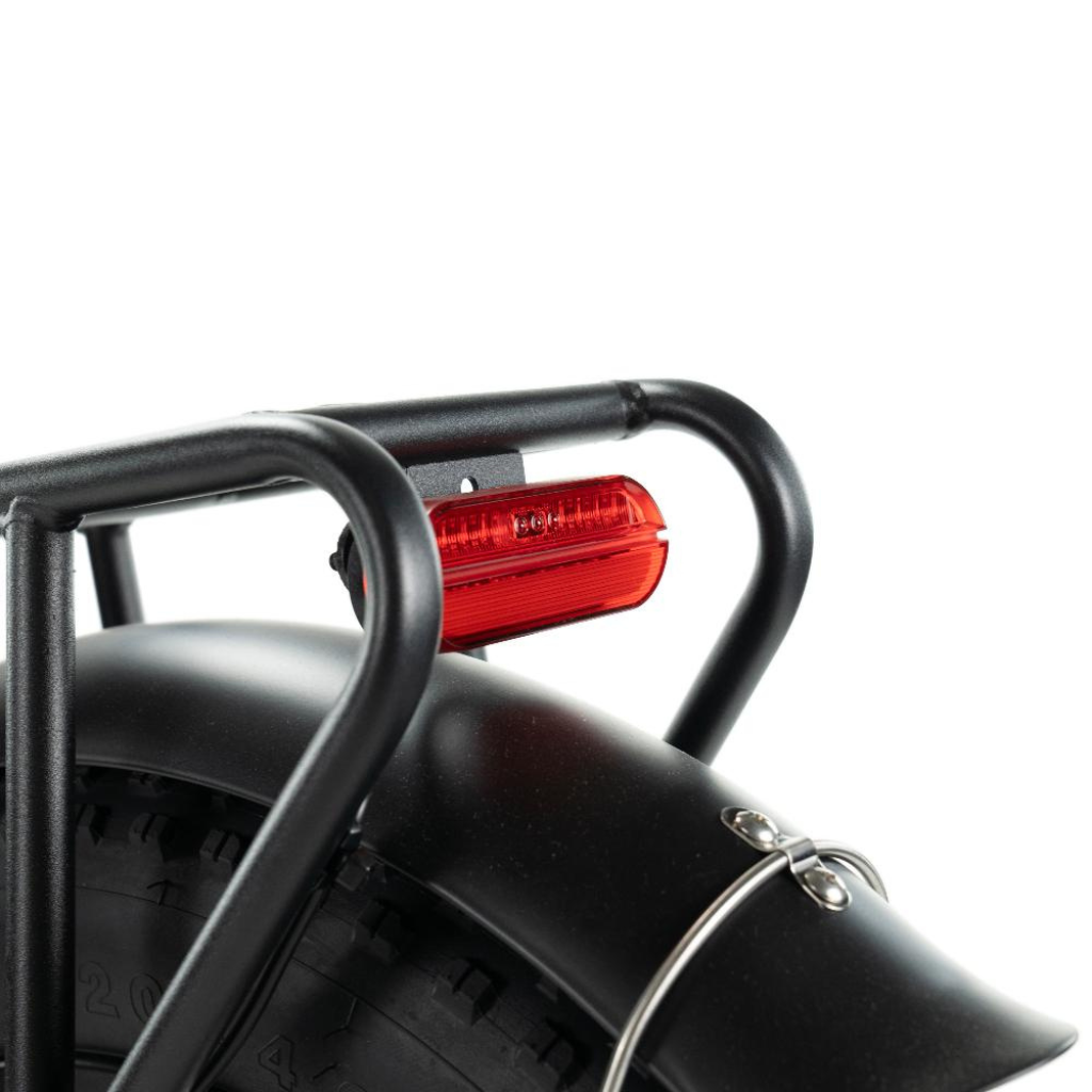 ENGWE L20 - Grün (inkl. kostenlosem Frontkorb)