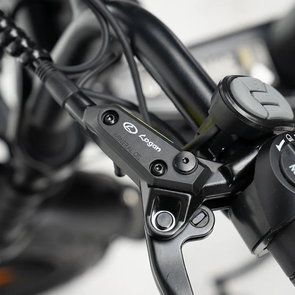 OUXI C80 - Schwarz (inkl. Fußstützen, Rücksitzbank & Alarmanlage)