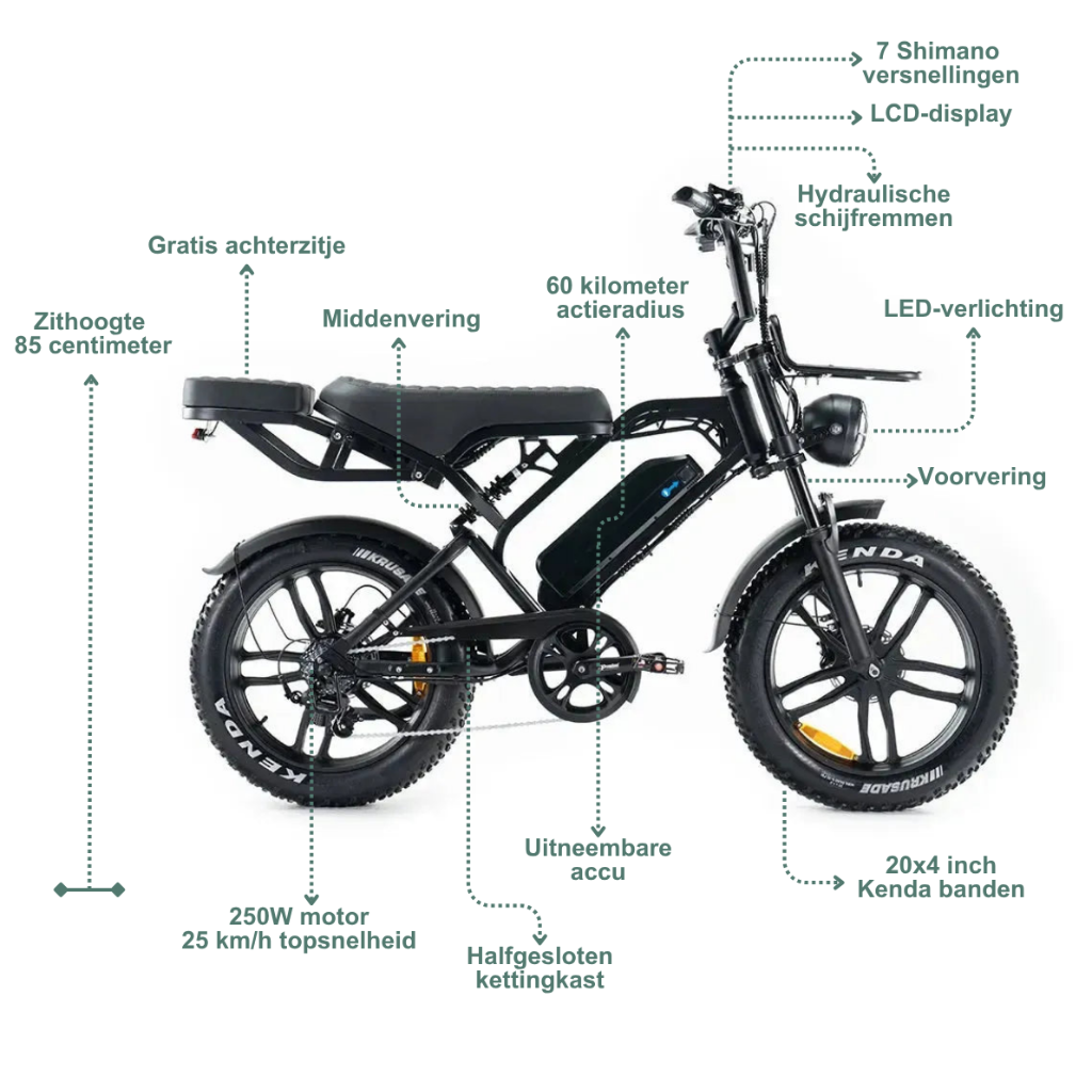 QMWHEEL V20 Pro - Schwarz (inkl. Rücksitz, Frontgepäckträger & Alarmanlage)