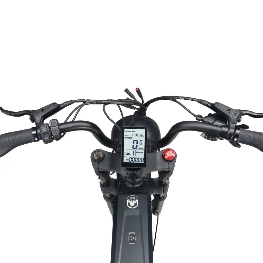 Ape Ryder Baboon - Schwarz