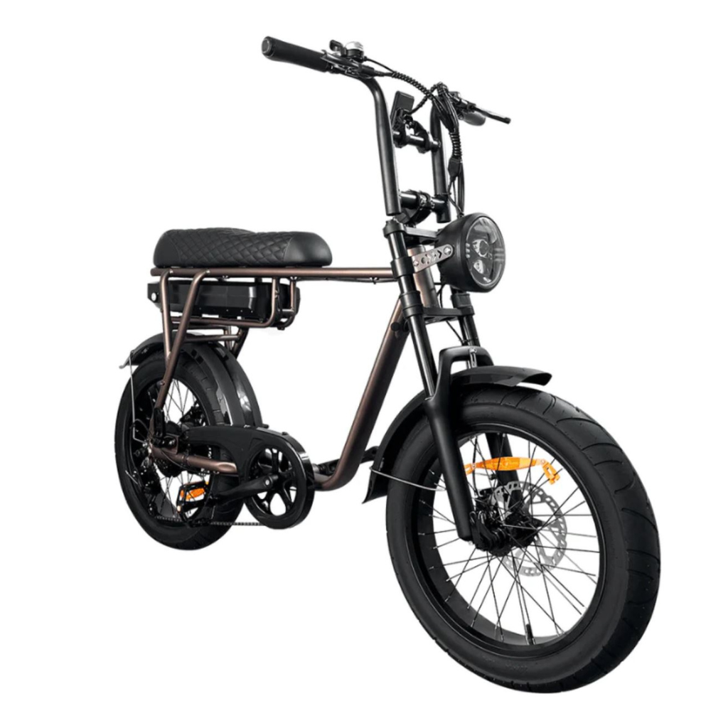 EB2 Fatbike - Kaffee