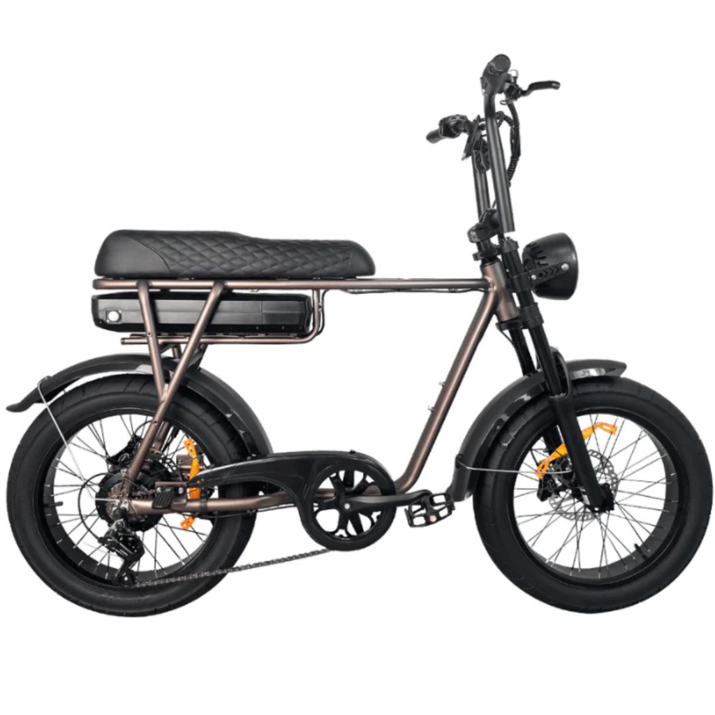 EB2 Fatbike - Kaffee