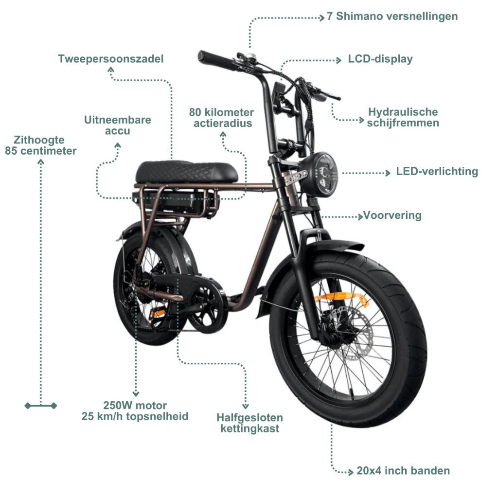 EB2 Fatbike - Kaffee