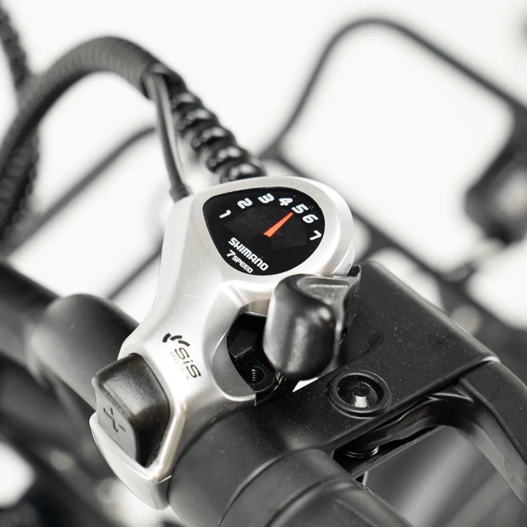 ENGWE L20 Boost - Grün (inkl. kostenlosem Frontkorb)