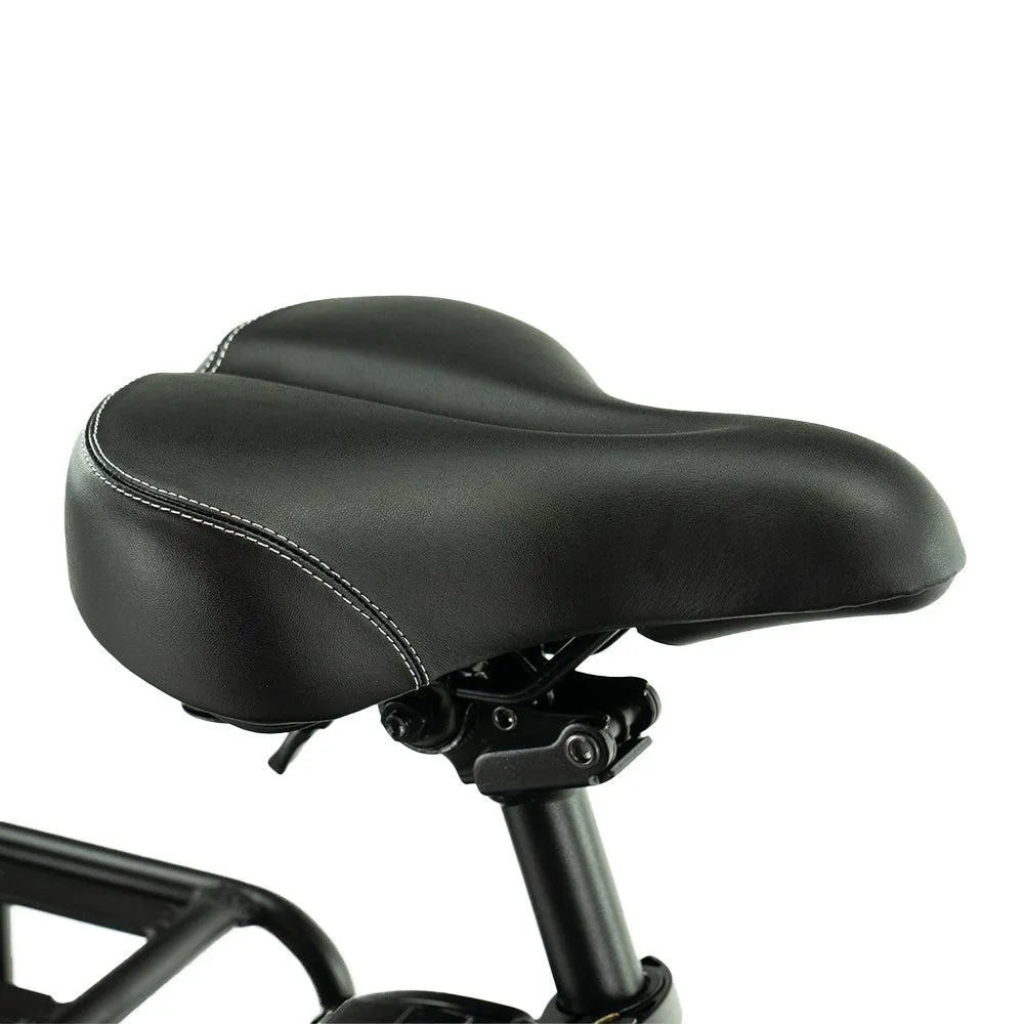 ENGWE L20 Boost - Schwarz (inkl. kostenlosem Frontkorb)