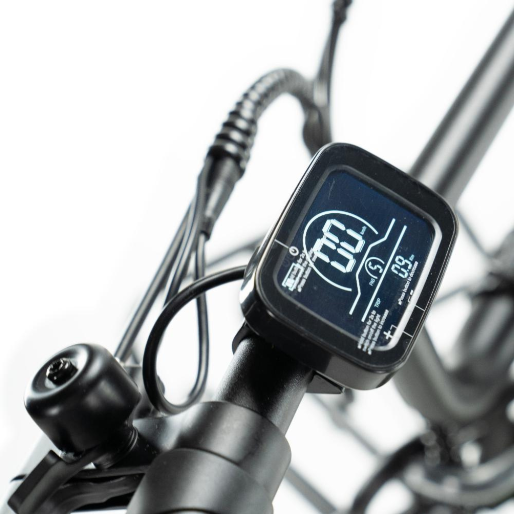 ENGWE L20 - Grün (inkl. kostenlosem Frontkorb)