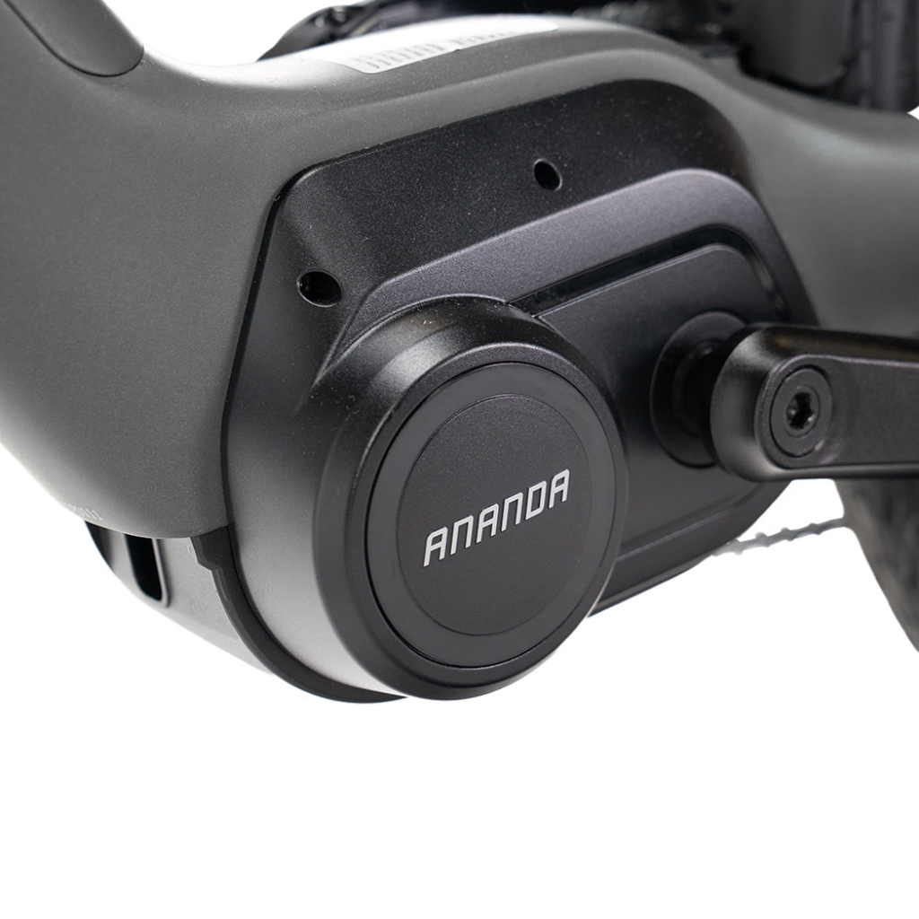 ENGWE MapFour N1 Pro - Grau