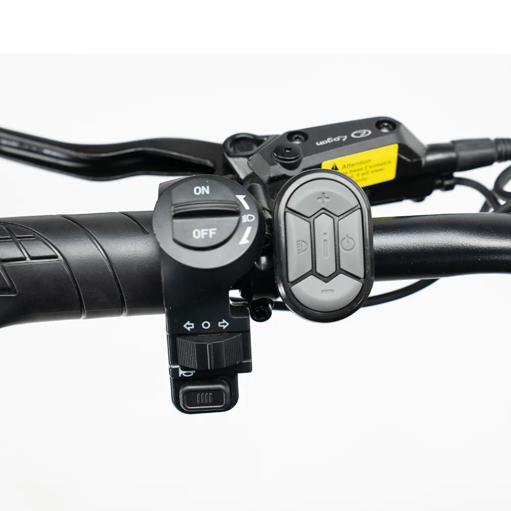 OUXI C80 - Schwarz (inkl. Fußstützen, Rücksitzbank &amp; Alarmanlage)