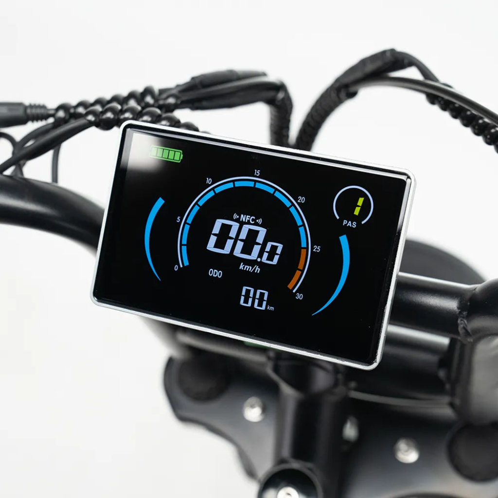 OUXI C80 - Schwarz (inkl. Fußstützen, Rücksitzbank &amp; Alarmanlage)