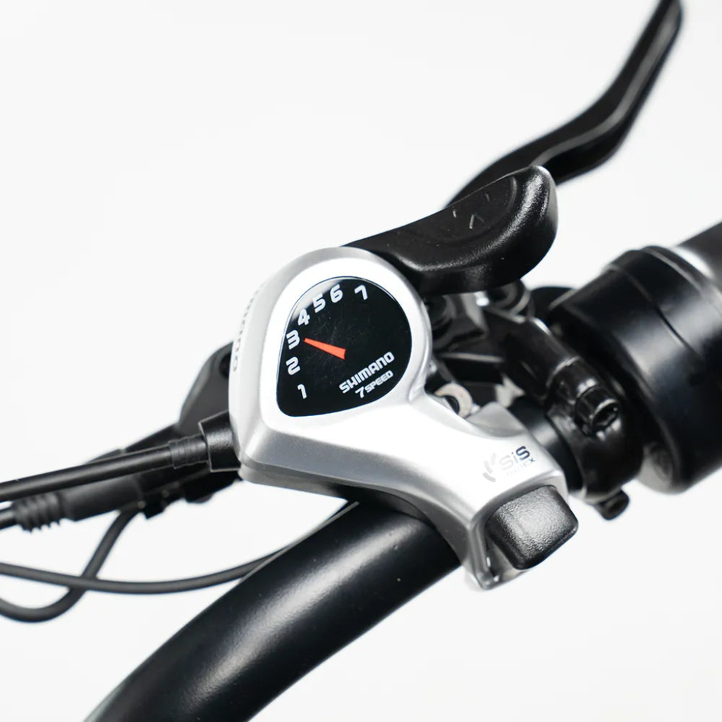 OUXI C80 - Schwarz (inkl. Fußstützen, Rücksitzbank &amp; Alarmanlage)