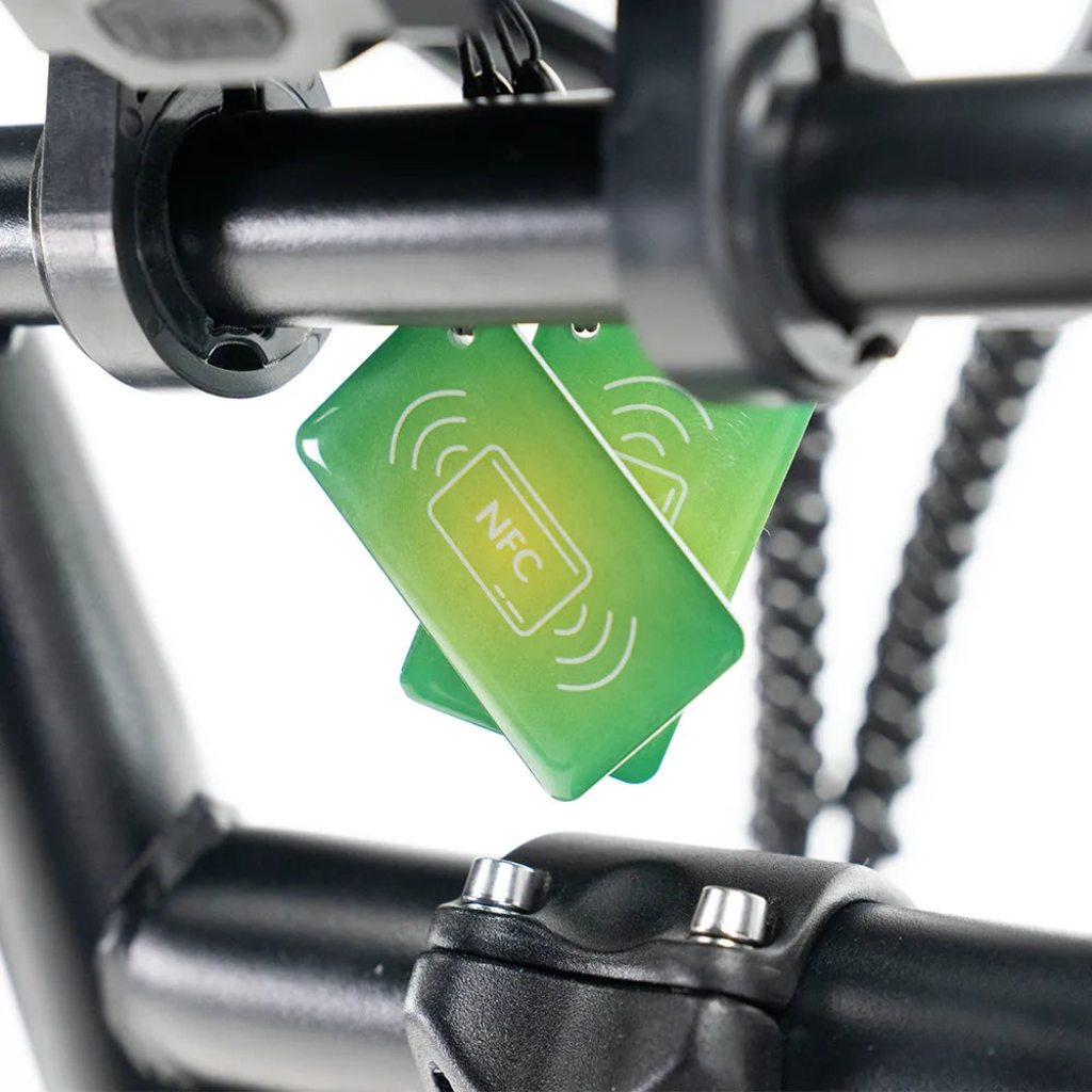 OUXI C80 - Schwarz (inkl. Fußstützen, Rücksitzbank &amp; Alarmanlage)