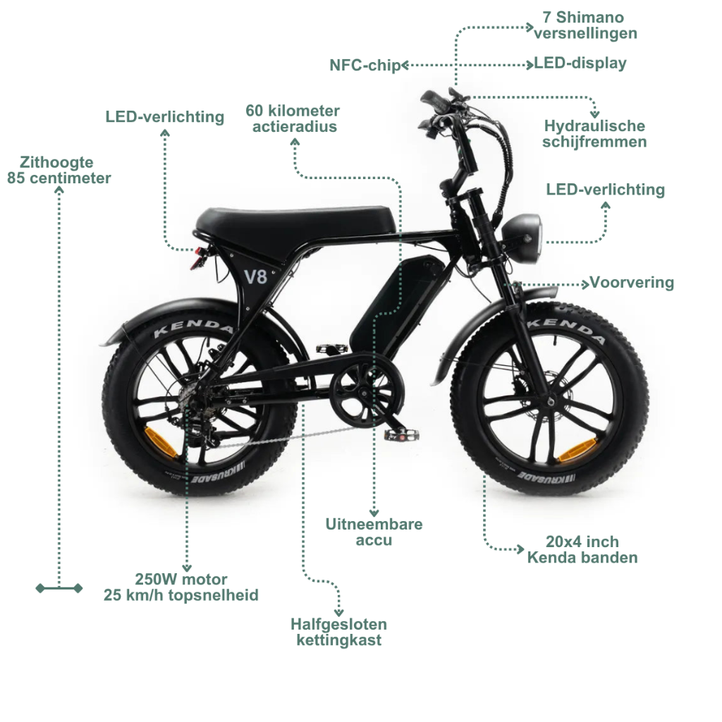 OUXI C80 - Schwarz (inkl. Fußstützen, Rücksitzbank &amp; Alarmanlage)