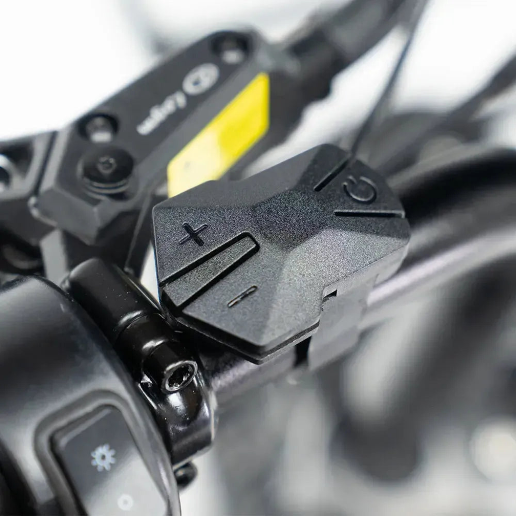 QMWHEEL V20 Pro - Dunkelgrau (inkl. Rücksitzbank, Frontgepäckträger &amp; Alarmanlage)