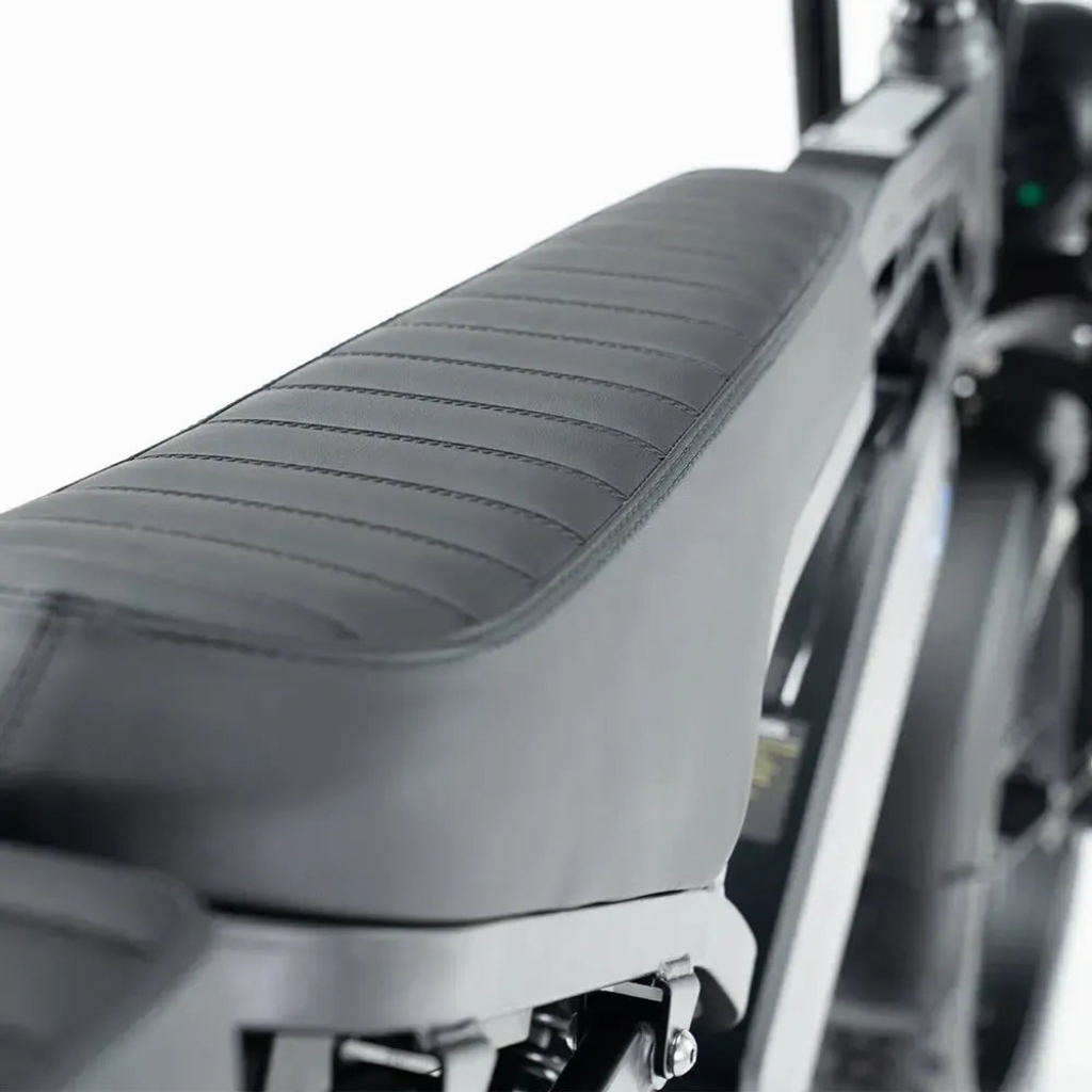 QMWHEEL V20 Pro - Dunkelgrau (inkl. Rücksitzbank, Frontgepäckträger &amp; Alarmanlage)