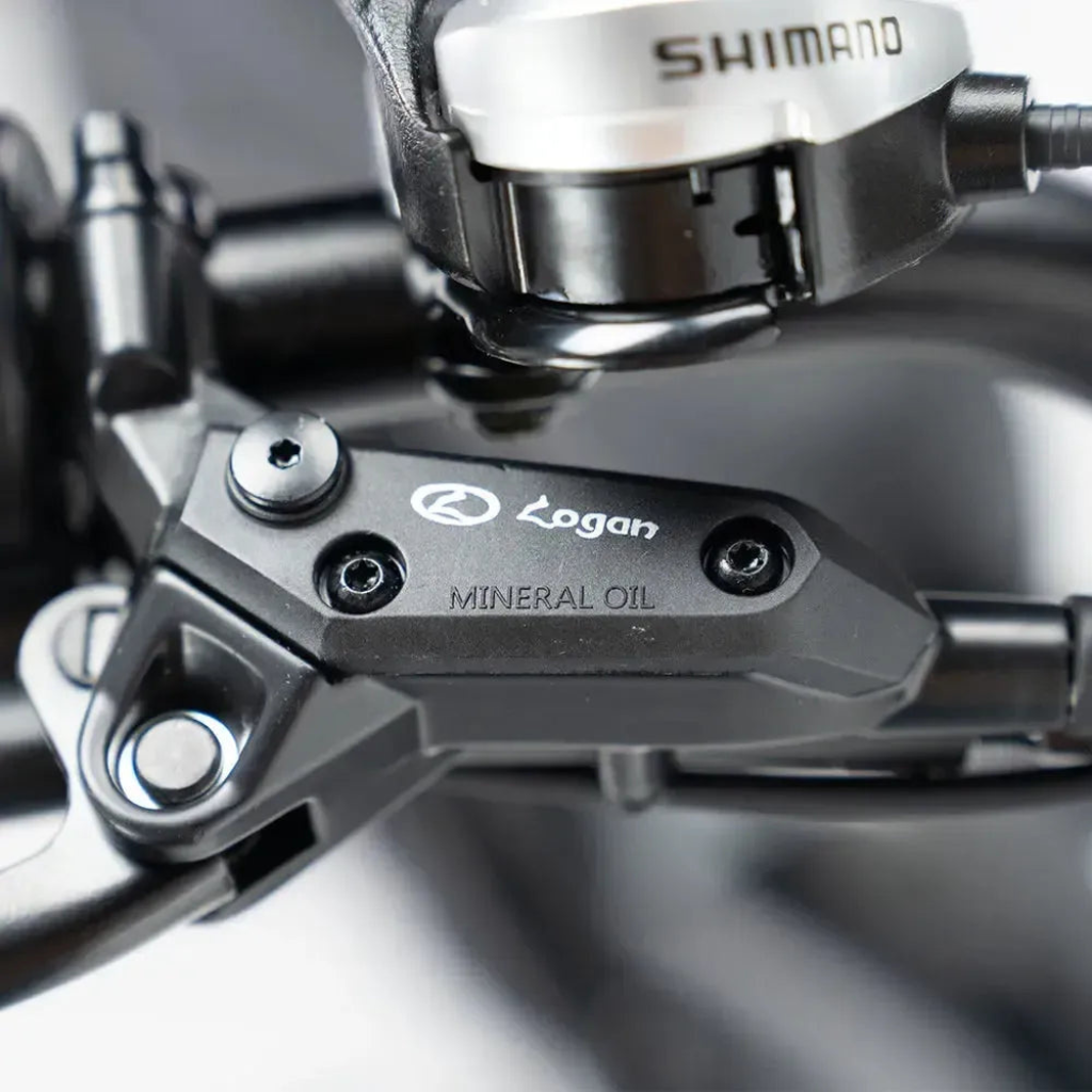 QMWHEEL V20 Pro - Schwarz (inkl. Rücksitz, Frontgepäckträger &amp; Alarmanlage)