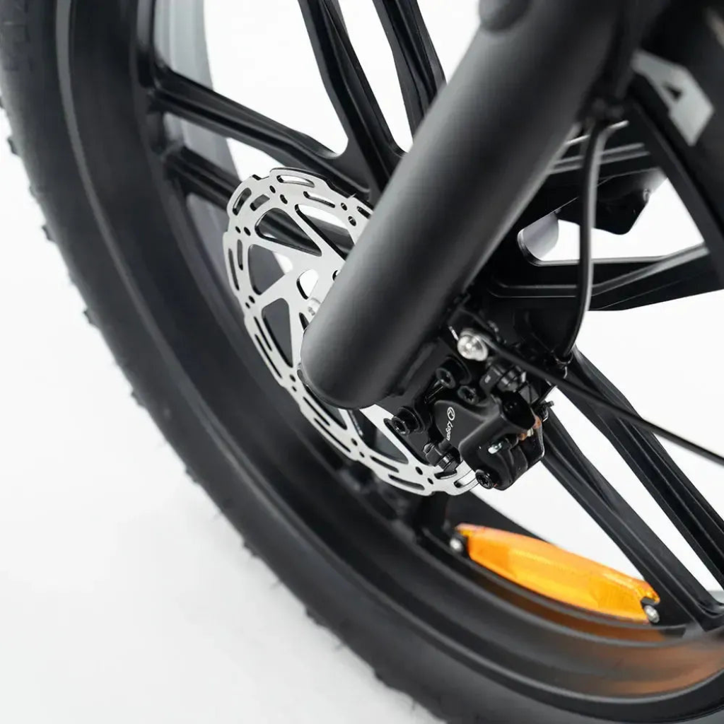 QMWHEEL V20 Pro - Schwarz (inkl. Rücksitz, Frontgepäckträger &amp; Alarmanlage)