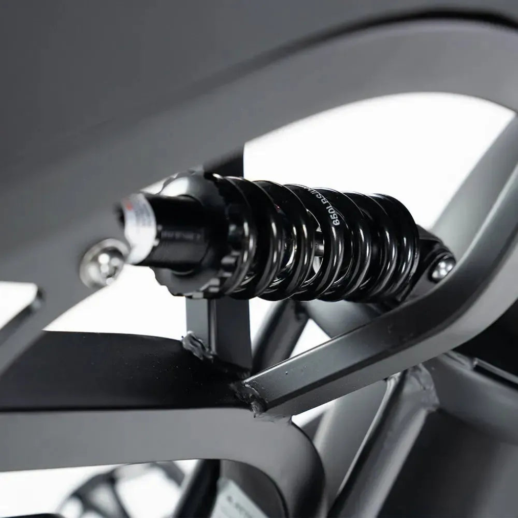 QMWHEEL V20 Pro - Schwarz (inkl. Rücksitz, Frontgepäckträger &amp; Alarmanlage)