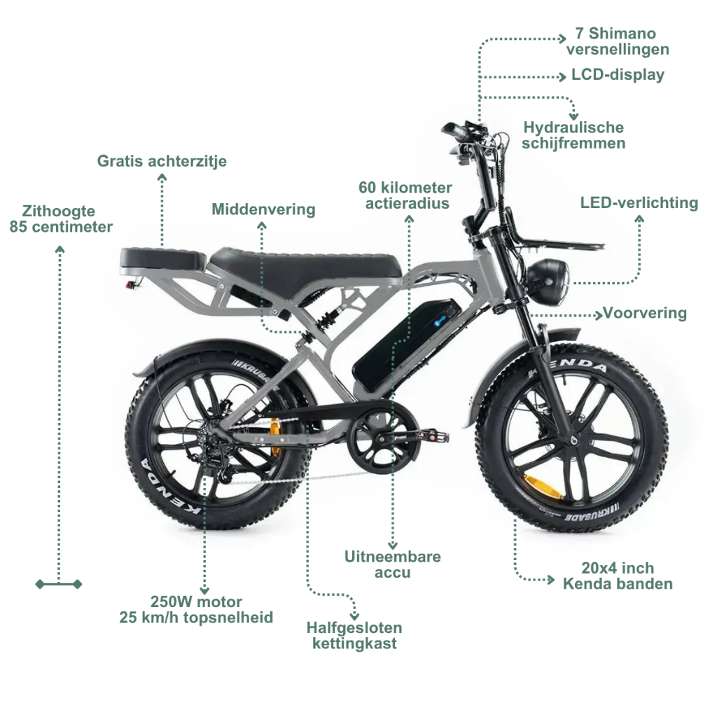 QMWHEEL V20 Pro - Grau (inkl. Rücksitzbank, Frontgepäckträger &amp; Alarmanlage)